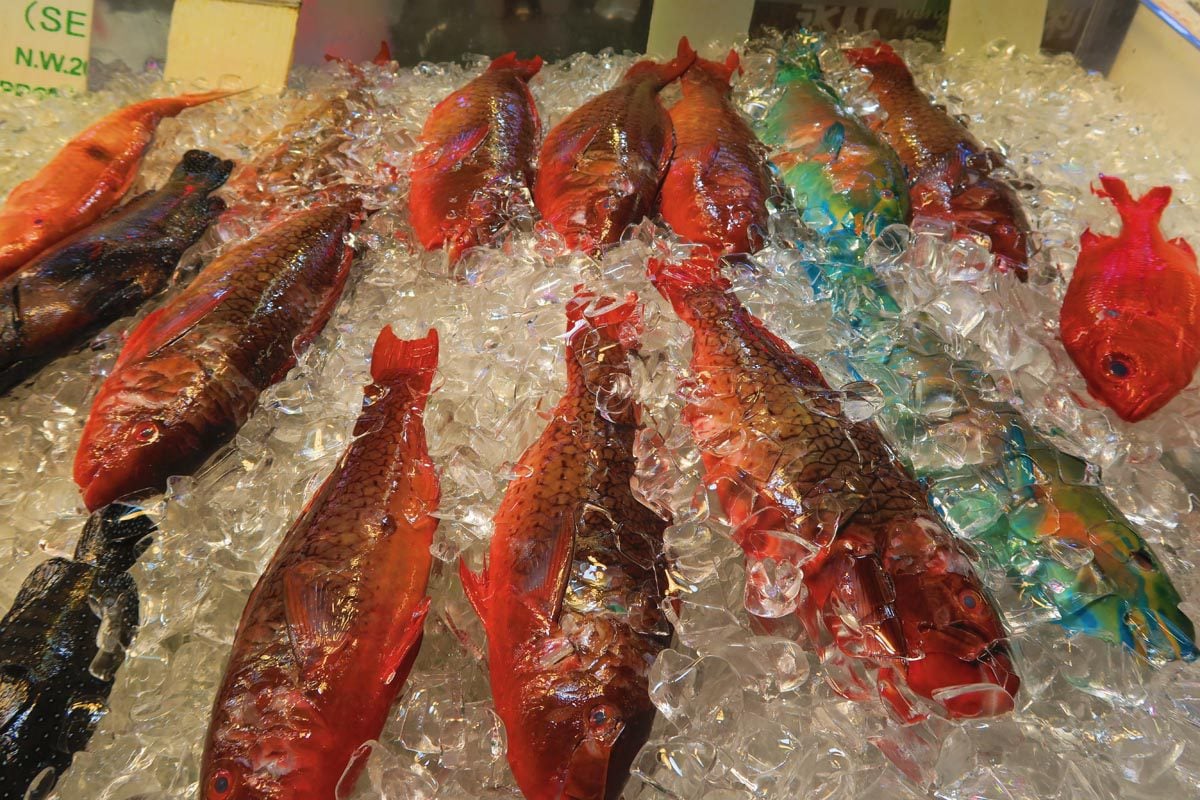 Honolulu Fish Auction - Ohau - Hawaii