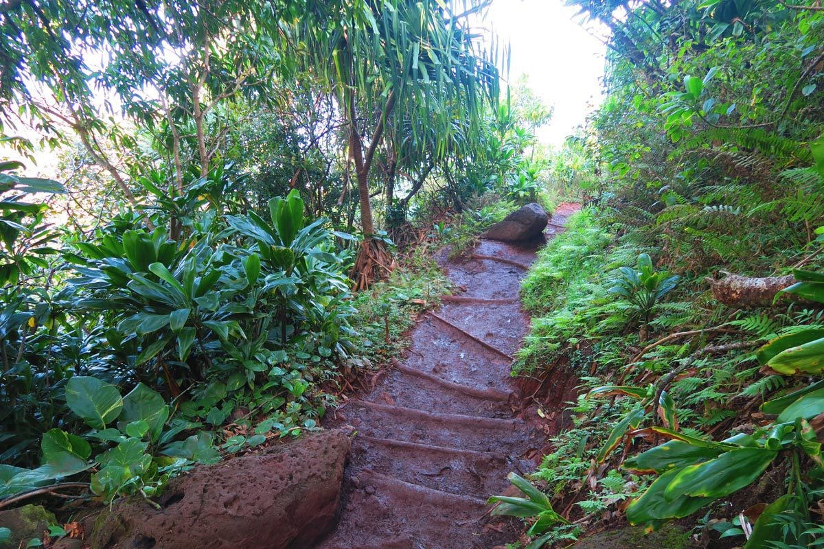 Kalalau Trail Hike - Na Pali Cliffs - Kauai Hawaii - muddy trail
