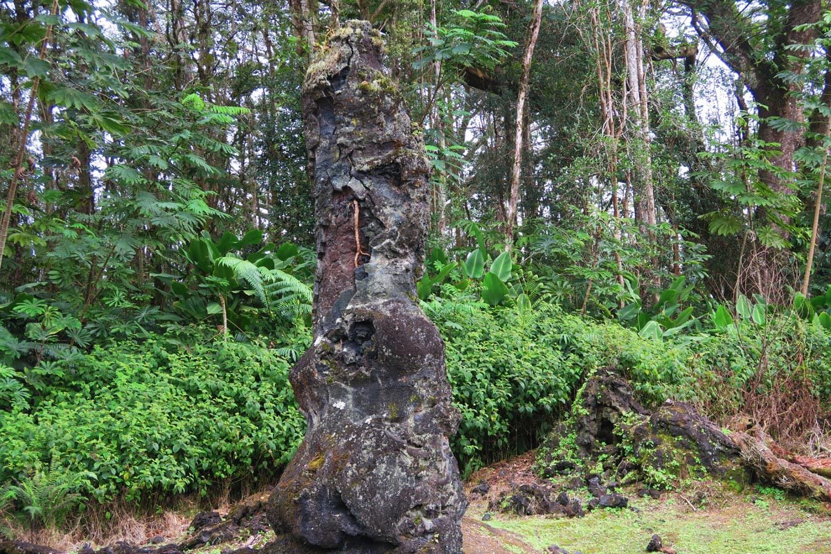 Lava Tree State Monument Park - Big Island Hawaii_1
