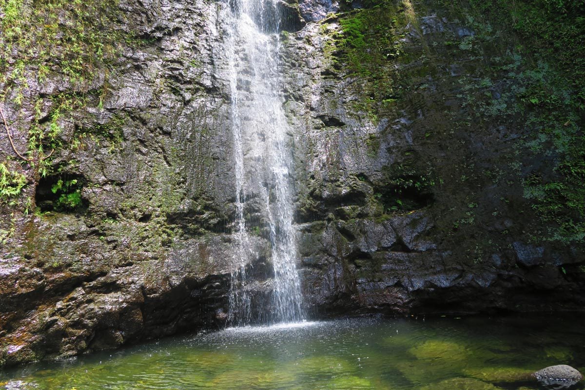 Manoa Falls - oahu - Hawaii