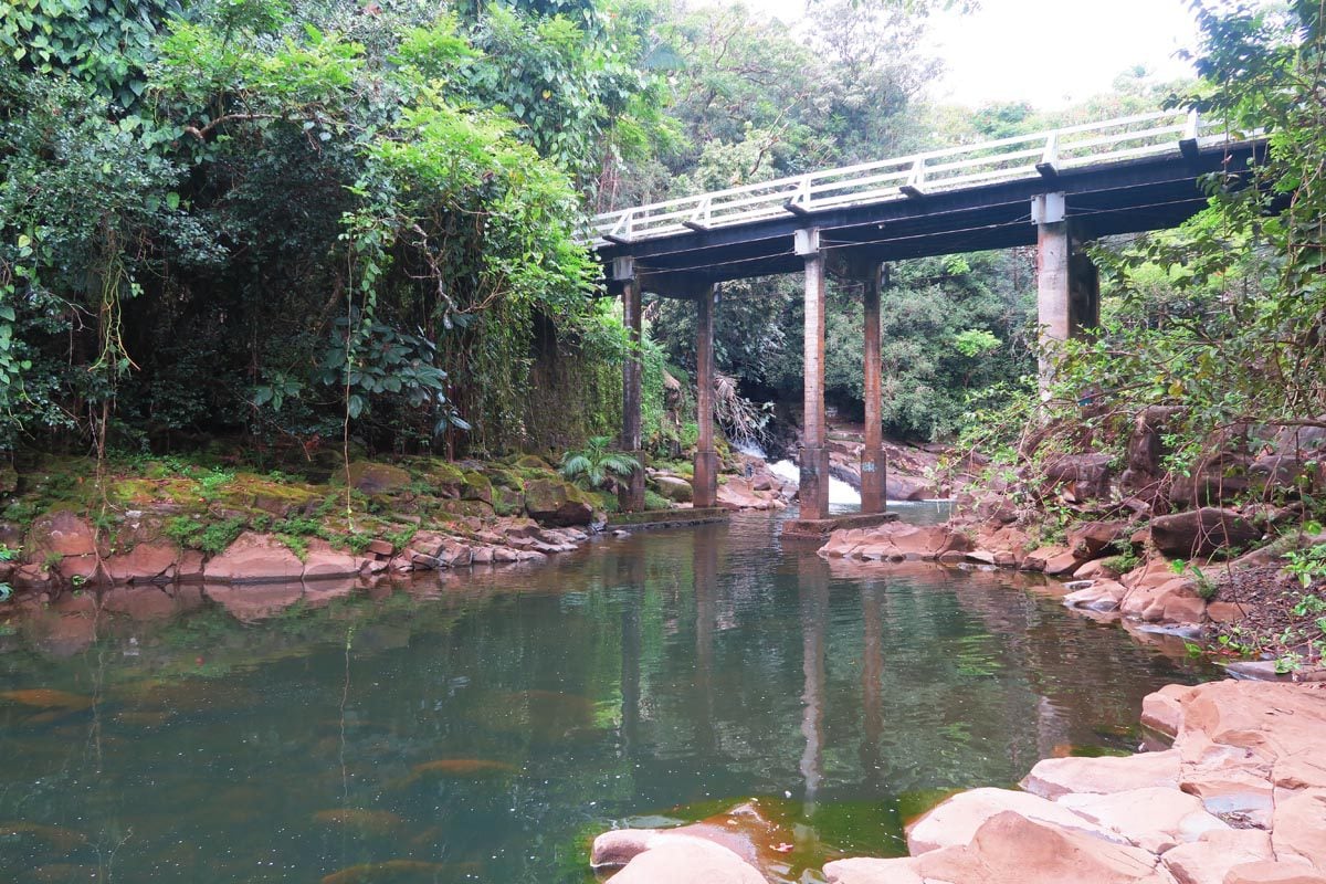 Pepe’ekeo Scenic Drive - hike to secret waterfall - Big Island Hawaii_1