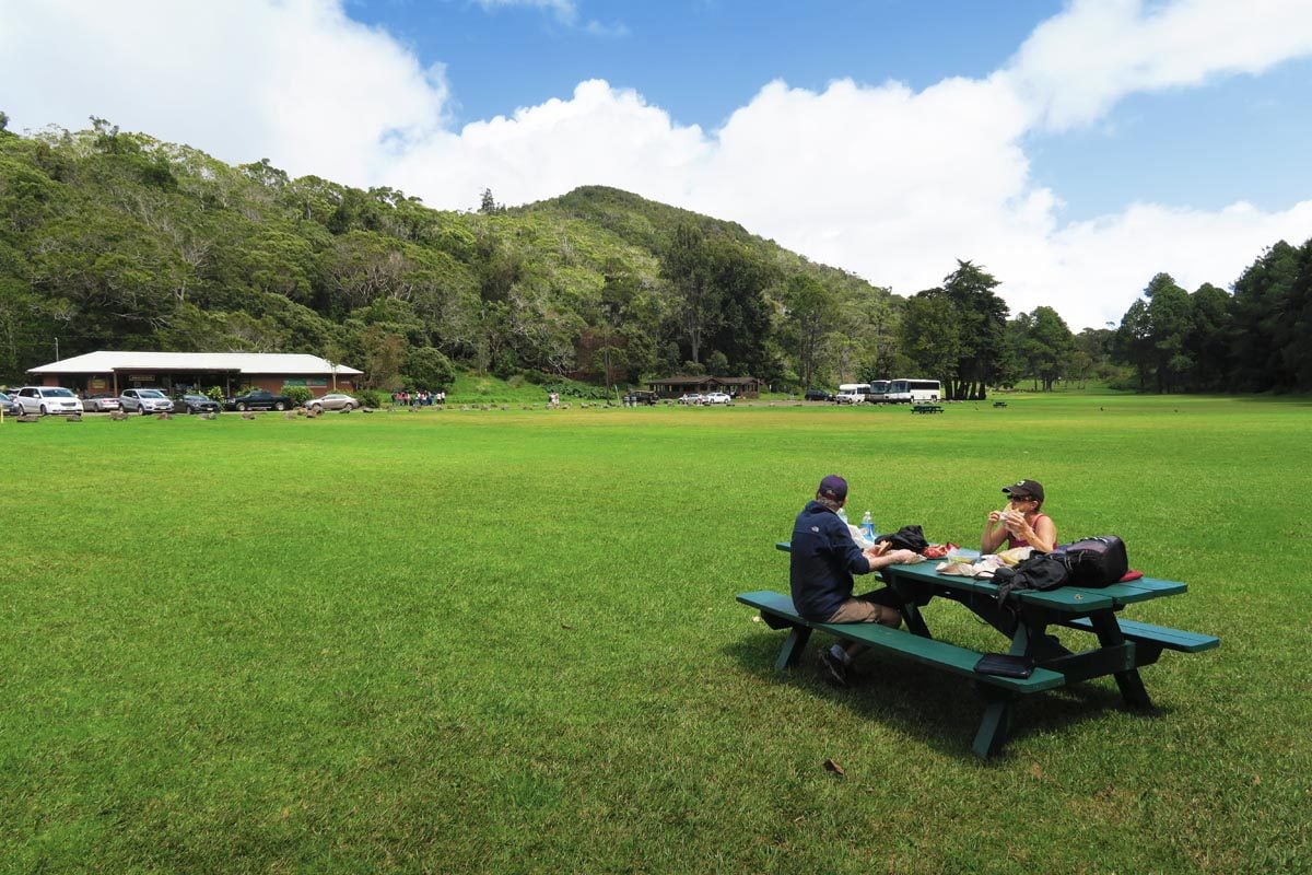 Picnic lunch in Kokee State Park - Kauai