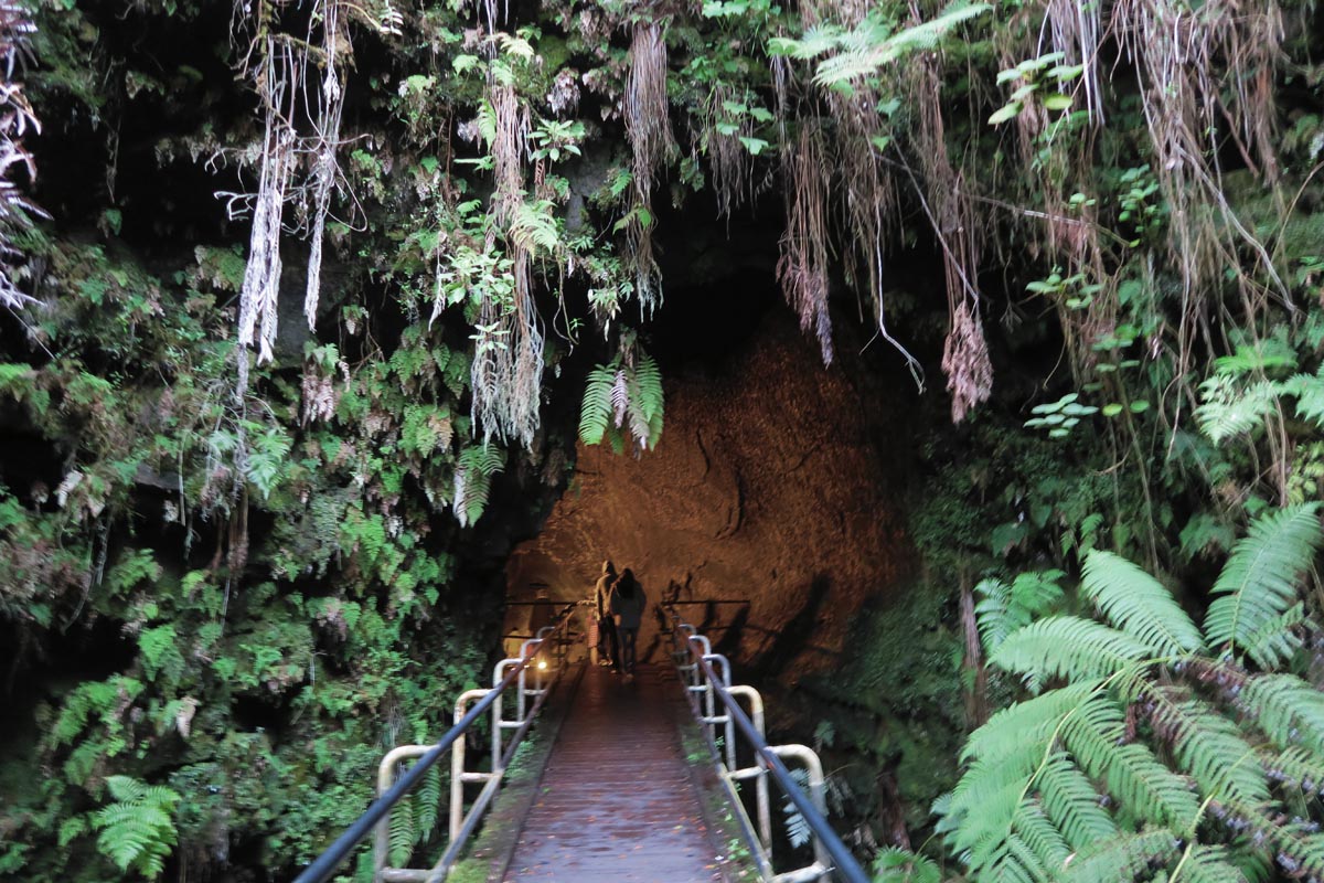 Thurston Lava Tube Entrance - Hawaii Volcanoes National Park Big Island