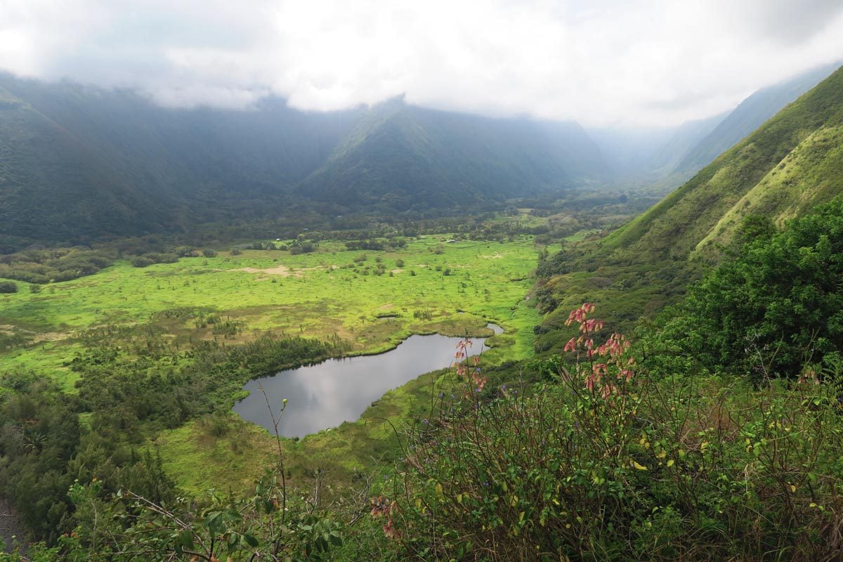 View of Waipio Valley from the Muliwai Trail - Big Island Hawaii