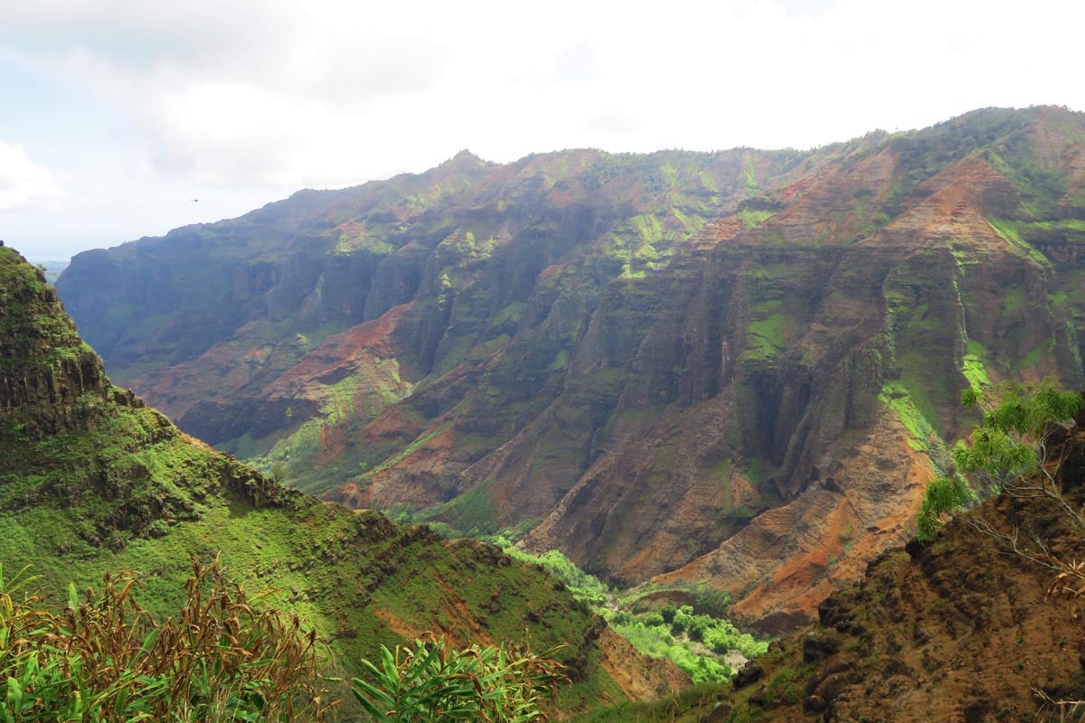 Waimea Canyon from Cliff and canyon hiking trail - Kauai Hawaii