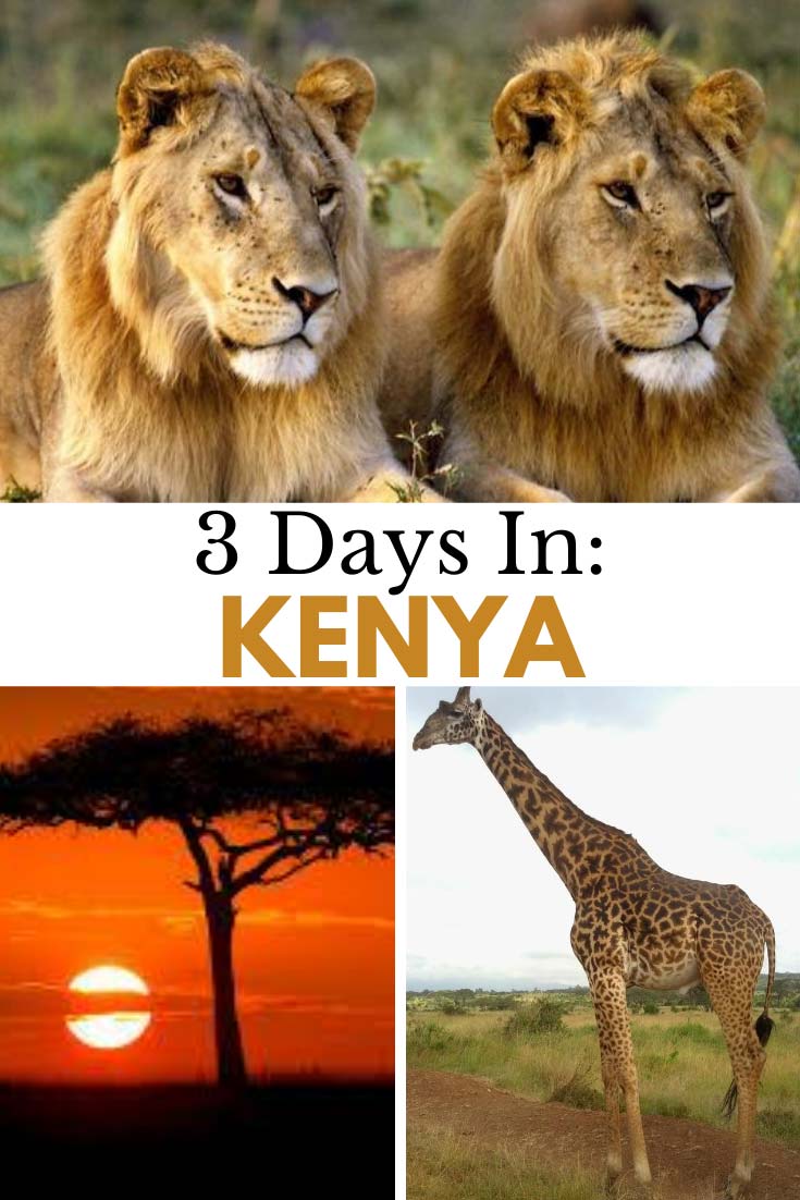 3-DAYS-IN-KENYA---PIN