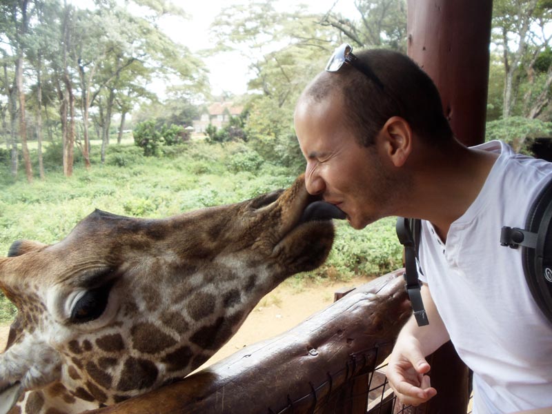 getting kissed by a giraffe - Giraffe Center nairobi kenya