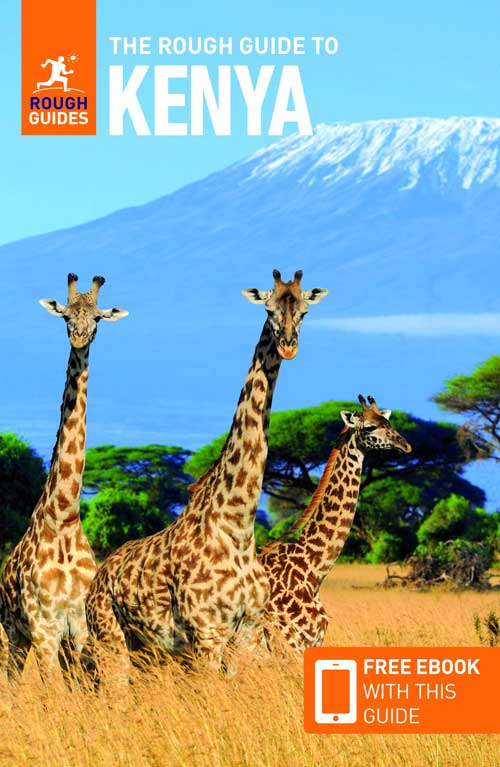 rough guide to kenya travel guide book