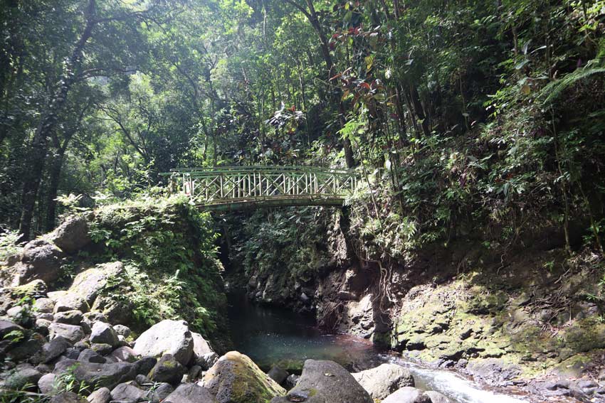 Bridge in Fautaua Valley - Tahiti Hike - French Polynesia