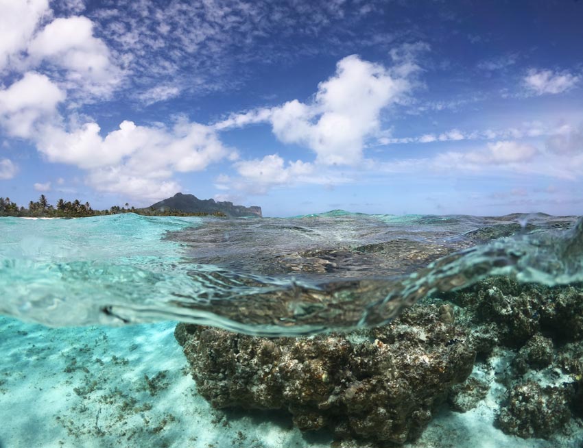 coral reef - motu auira - Maupiti - French Polynesia