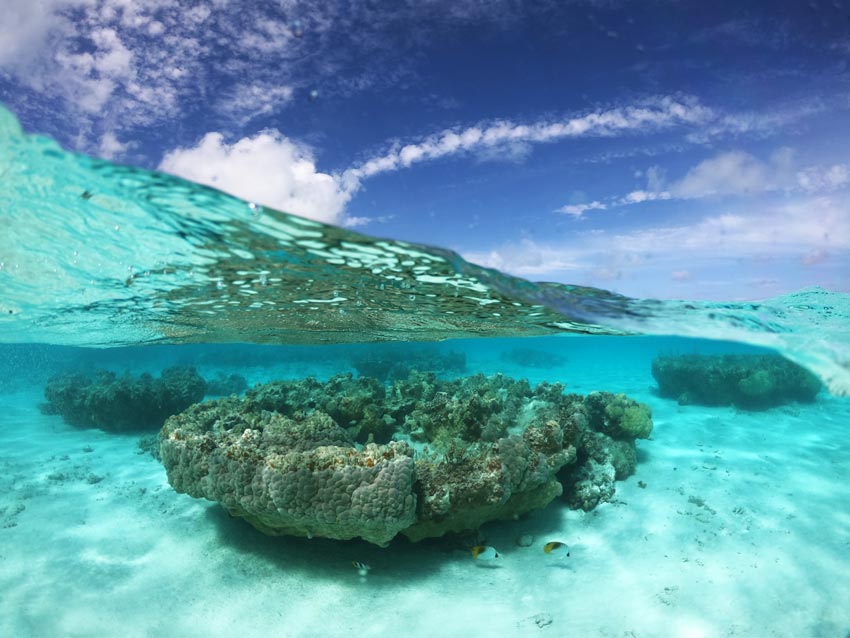 snorkeling - motu auira - Maupiti - French Polynesia