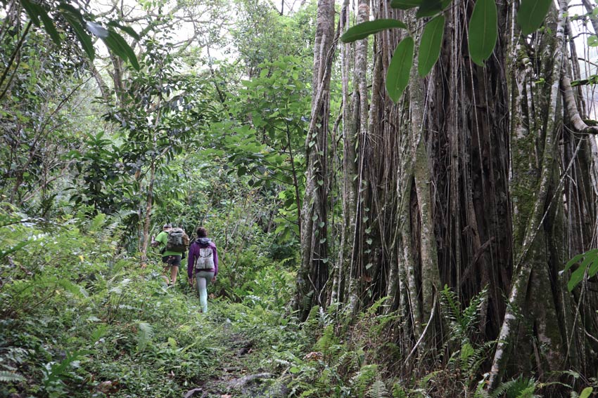 Poumaka Peak hike - Ua Pou - Marquesas Islands - French Polynesia