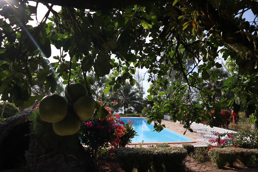 Vaitumu Village - Rurutu - austral islands - french polynesia - view from room