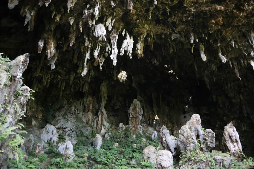 ana aeo - Mitterrand Cave - rurutu - austral islands - french polynesia - ceiling