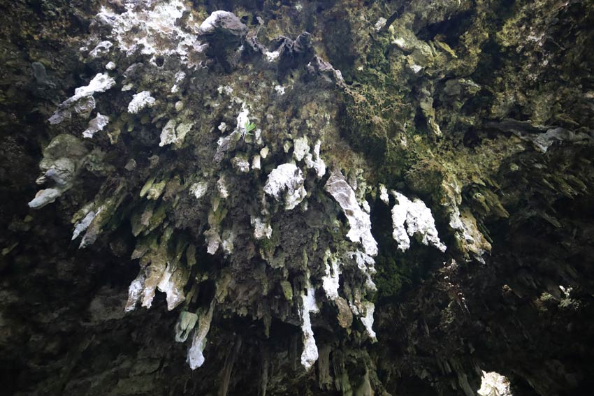 ana aeo - Mitterrand Cave - rurutu - austral islands - french polynesia - staglactices