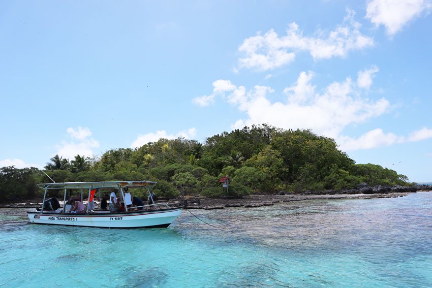 bird island tikehau - french polynesia