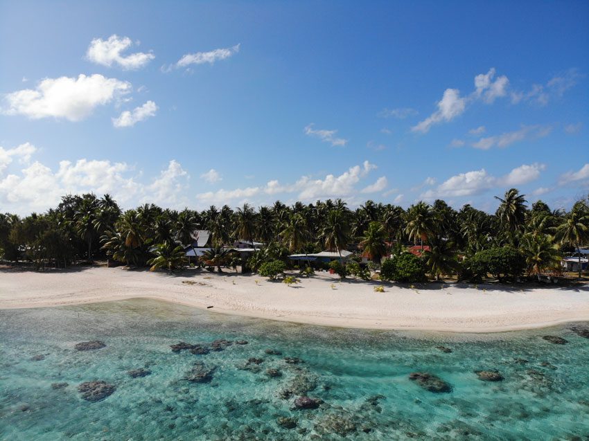 coconut beach - tikehau - french polynesia