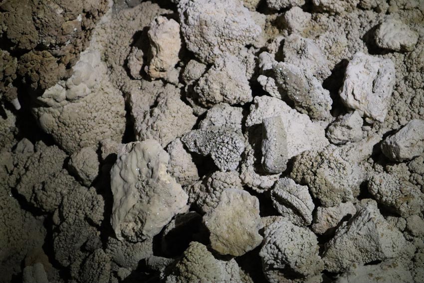 coral rocks covered in calcium - Ana Mouo - hiking in rurutu - austral islands - french polynesia