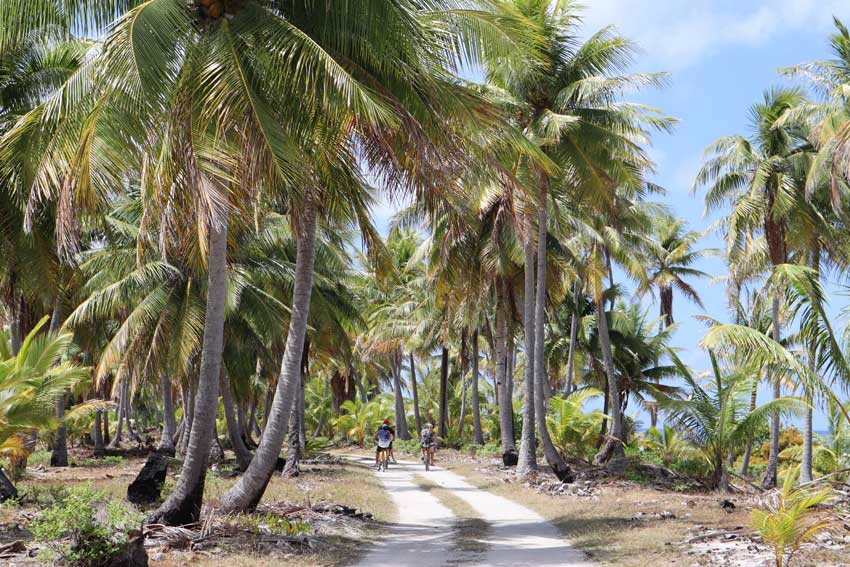 family cycling in coconut grove - tikehau - french polynesia