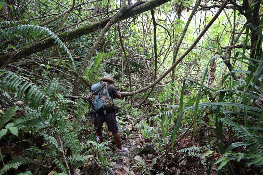 hiking to secret cave - rurutu - austral islands - french polynesia