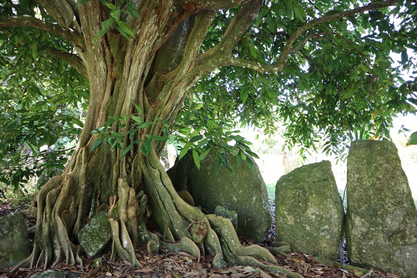 marae - raivavae - austral islands - french polynesia