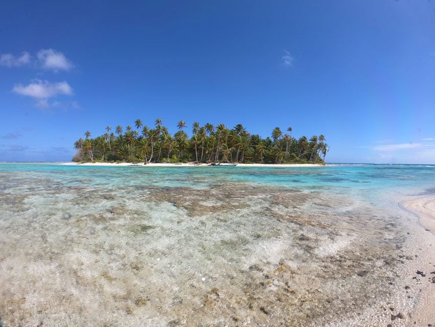 palm fringed motu - ninamu resort - tikehau - frech polynesia