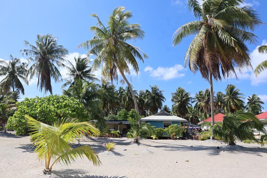 pension coconut beach Tikehau French Polynesia