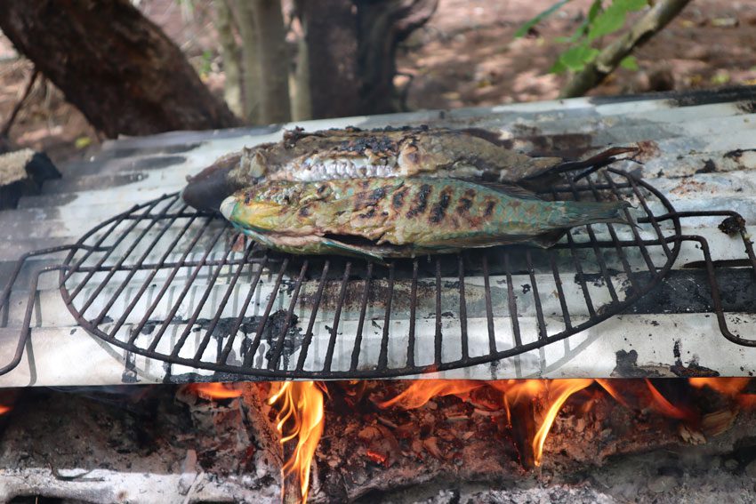 picnic motu - grilled fish - tubuai - austral islands - french polynesia