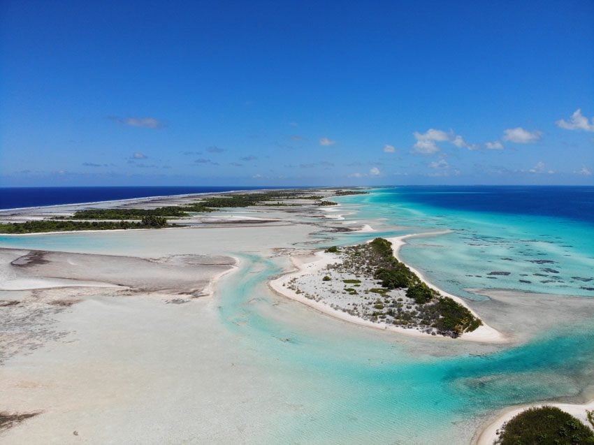 pink sand beach 10 - tikehau lagoon tour - french polynesia