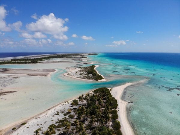 pink sand beach 2 - tikehau lagoon tour - french polynesia