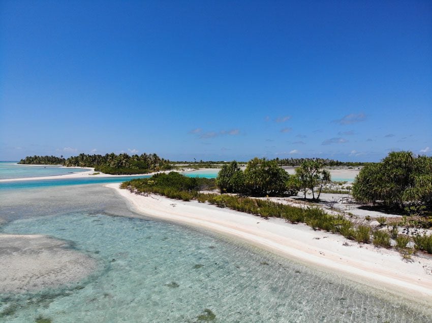 pink sand beach 3 - tikehau lagoon tour - french polynesia