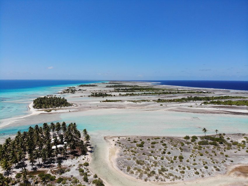 pink sand beach 4 - tikehau lagoon tour - french polynesia