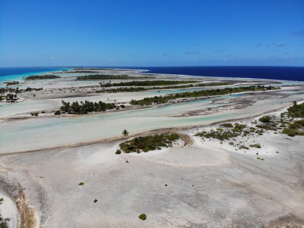 pink sand beach 5 - tikehau lagoon tour - french polynesia