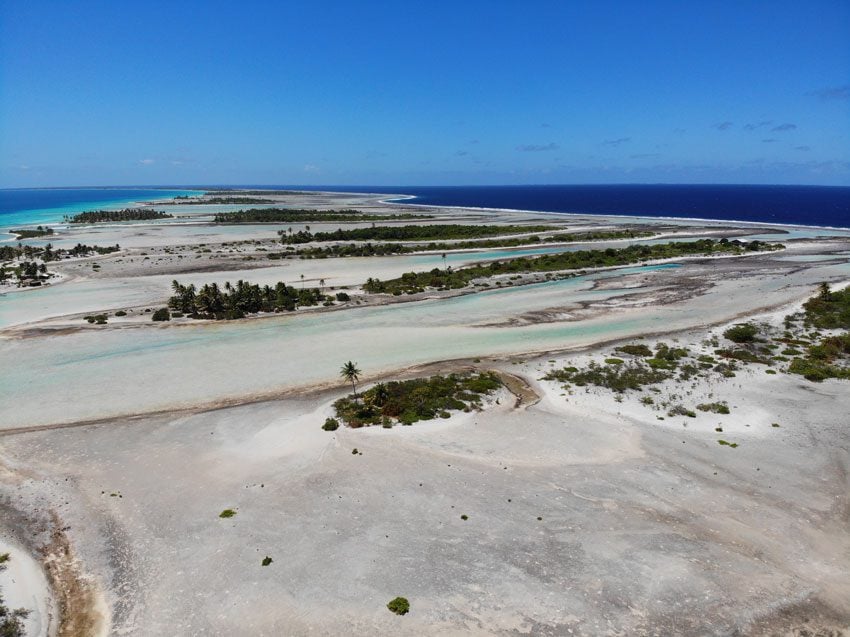 pink sand beach 5 - tikehau lagoon tour - french polynesia