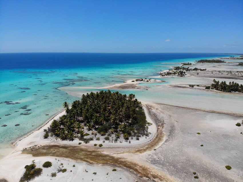 pink sand beach 6 - tikehau lagoon tour - french polynesia