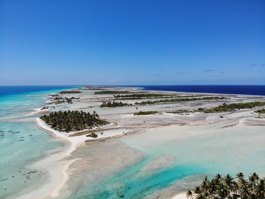 pink sand beach 7 - tikehau lagoon tour - french polynesia