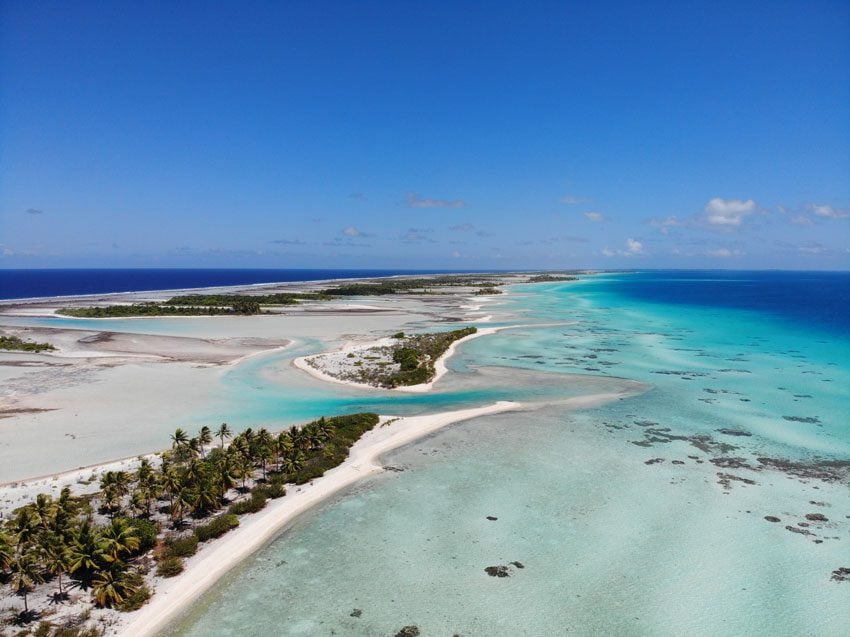 pink sand beach 8 - tikehau lagoon tour - french polynesia