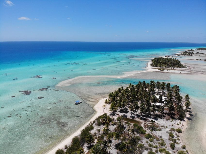 pink sand beach 9 - tikehau lagoon tour - french polynesia