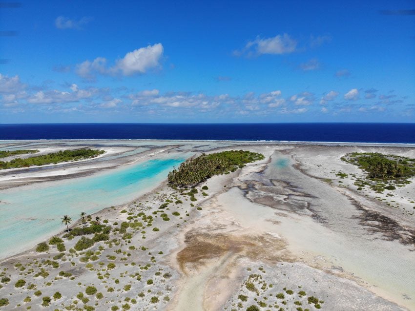 pink sand beach - tikehau lagoon tour - french polynesia