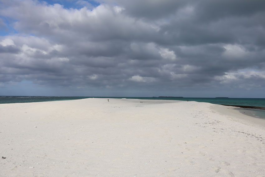 sand dune on motu one - tubuai - austral islands - french polynesia