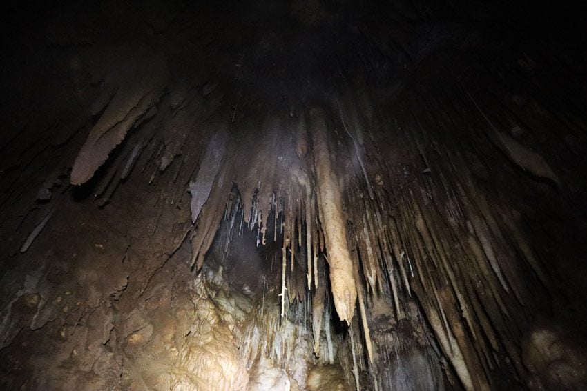 sharp stalactites in secret cave - rurutu - austral islands - french polynesia