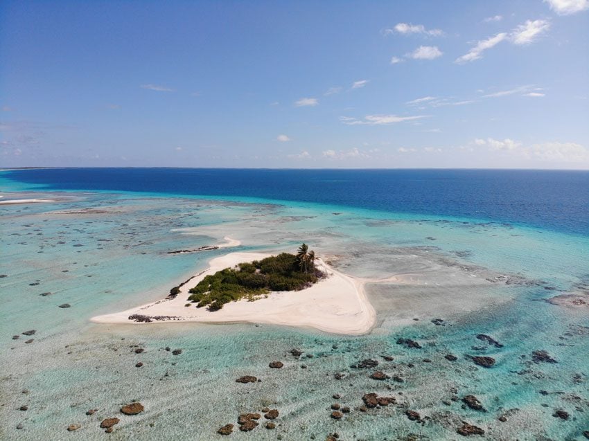 small islet with coconut palm - tikehau - french polynesia