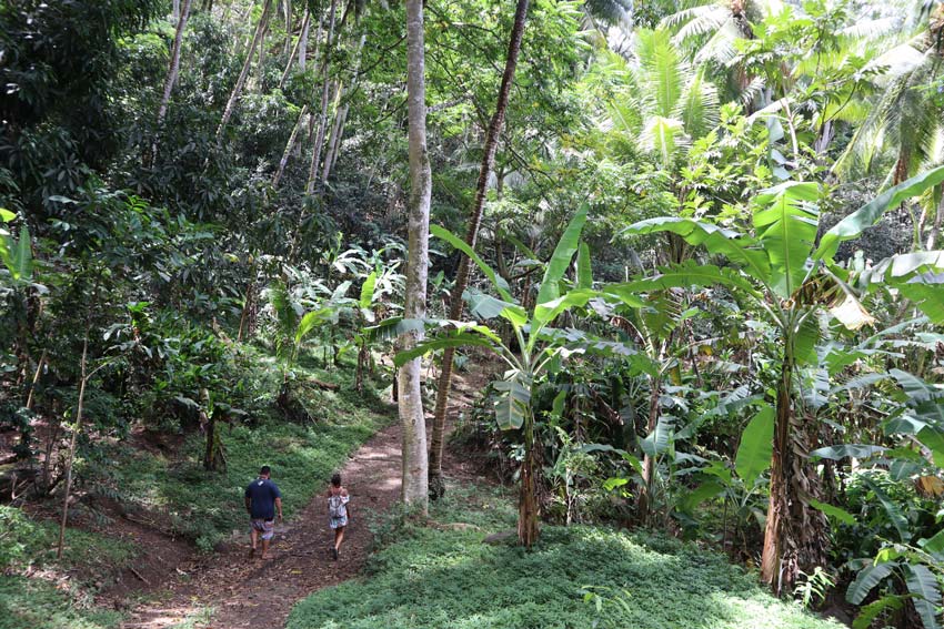 smiling tiki trail - Hiva Oa - Marquesas Islands - French Polynesia