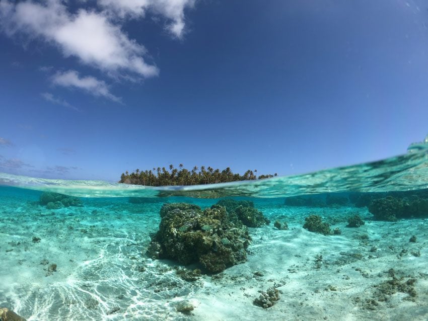 snorkeling in tikehau lagoon - french polynesia