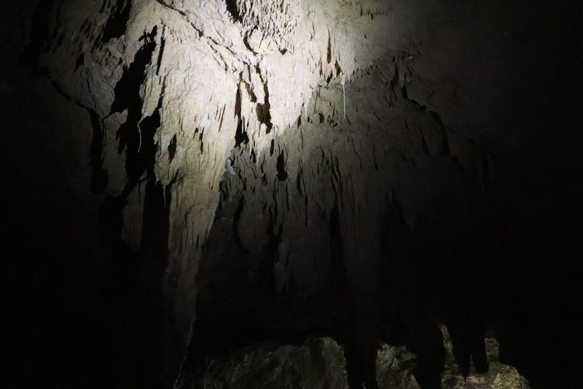 stalactites in Ana Mouo - hiking in rurutu - austral islands - french polynesia