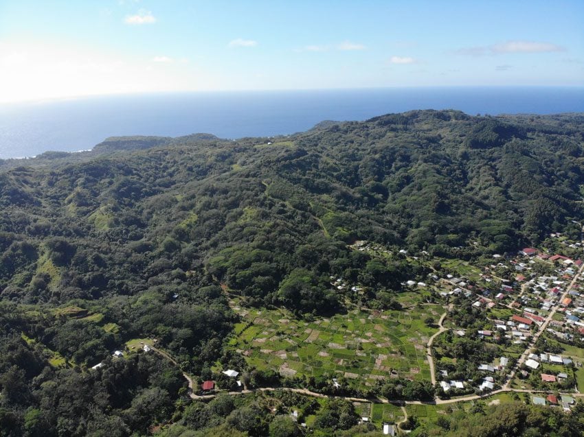 taro patches from mount manureva hiking - rurutu - austral islands - french polynesia