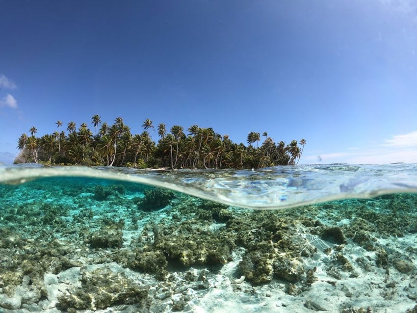 the motu of - ninamu resort - tikehau - frech polynesia