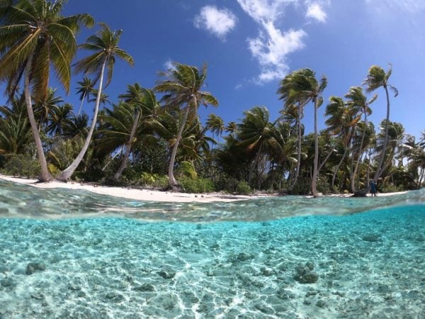 tropical beach - ninamu resort - tikehau - frech polynesia