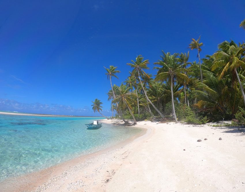 wild beach - ninamu resort - tikehau - frech polynesia