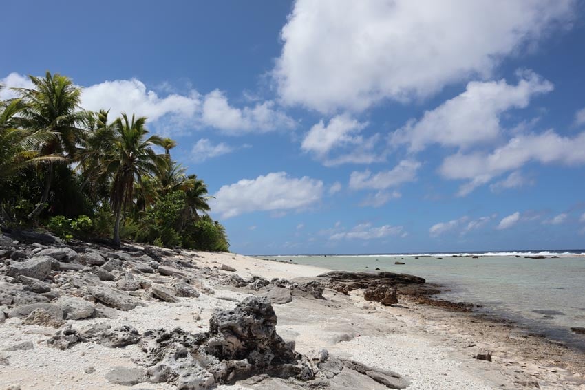 wild beach - tikehau - french polynesia